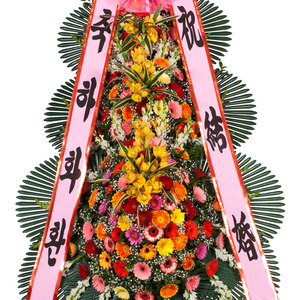 축하3단화환(특대품)