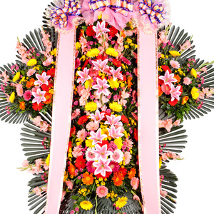 축하5단